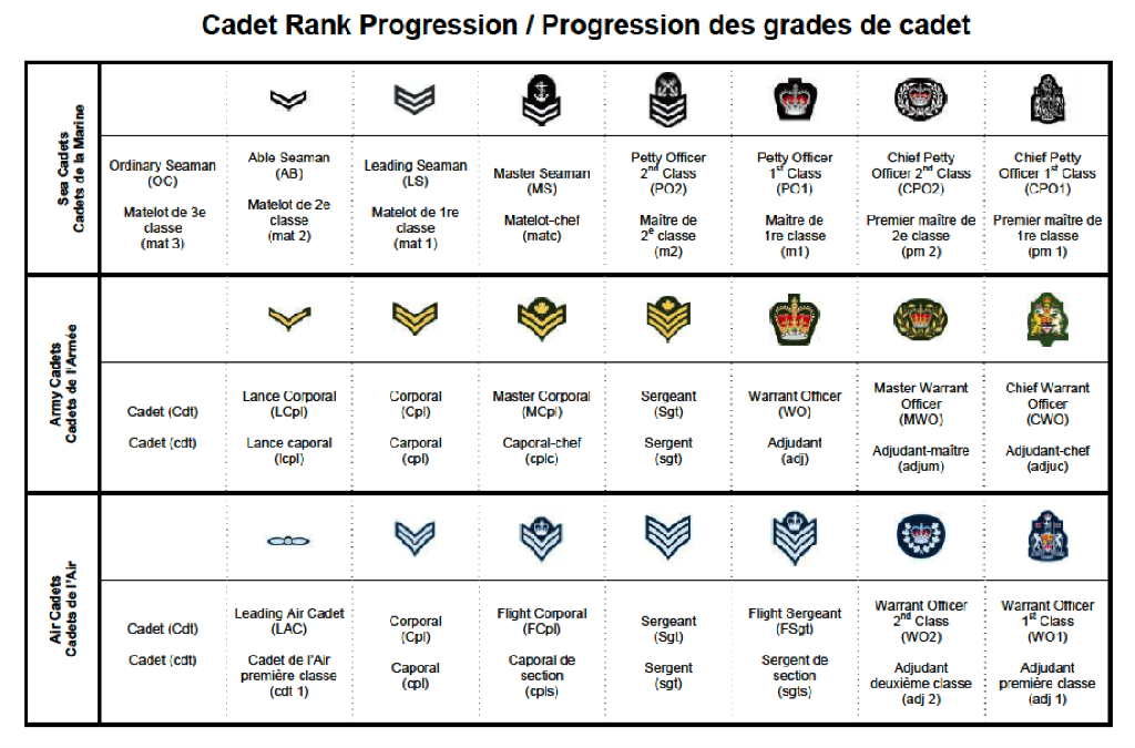 Merit-Based Rank Promotions